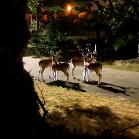 ボアシー・サン・レジェ Dans Un Cadre Exceptionnel, Ferme Renovee A 17Km De Parisヴィラ エクステリア 写真